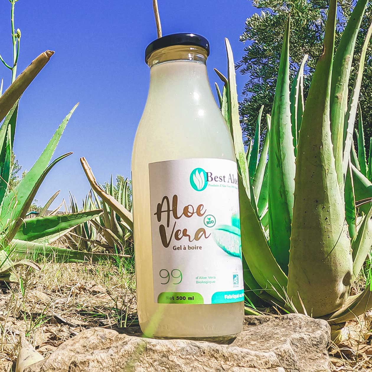 Gel d’aloe vera bio à boire Conseils de consommation Société Best Aloe — free download